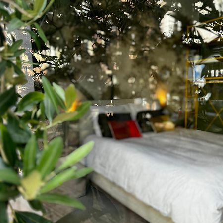 Daen'S Greenhouse Utrecht Zewnętrze zdjęcie
